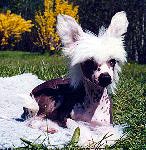 emma4.jpg (22164 bytes)